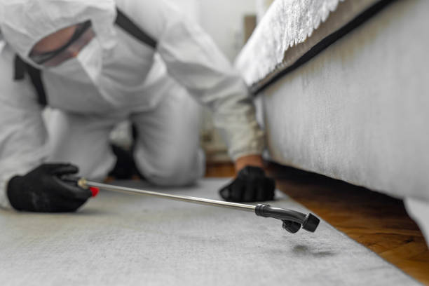Professional Bed Bug Control technician working in Ellis, KS