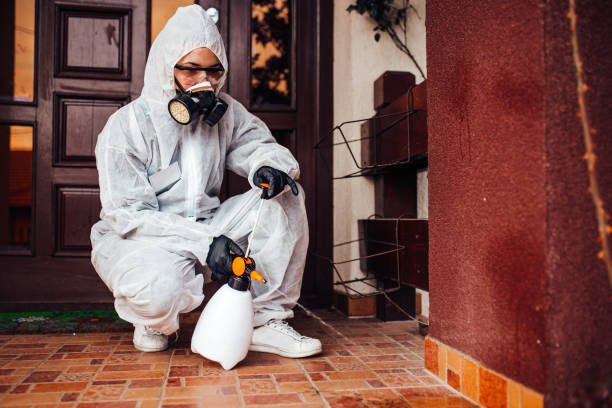 Reliable Bed Bug Control contractor in Ellis, KS by Nex Pest Control